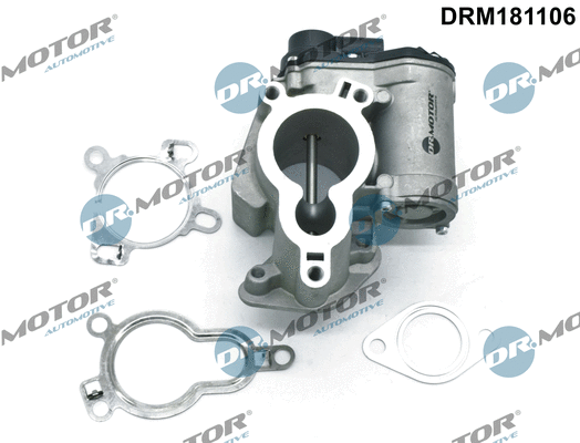 EGR Valve (DRM181106)