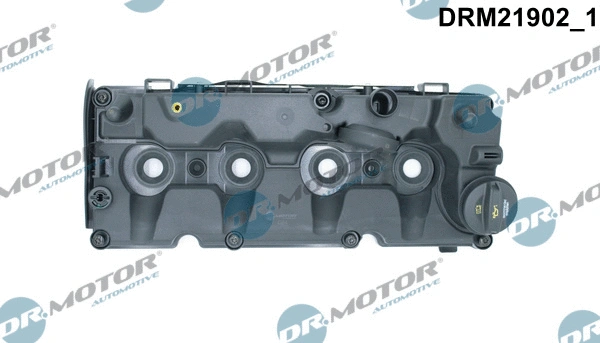 Cylinder Head Cover (DRM21902)