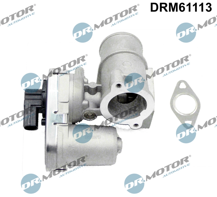 EGR Valve (DRM61113)