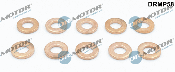Seal Kit, injector nozzle (DRMP58)