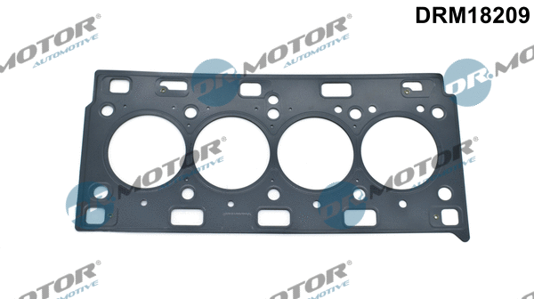 Gasket, cylinder head (DRM18209)