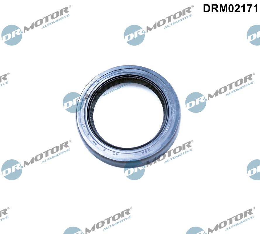 Seal Ring (DRM02171)