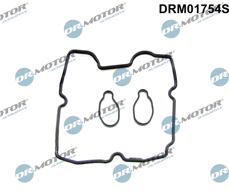Gasket Set, cylinder head cover (DRM01754S)