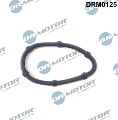 Gasket, crankcase ventilation (DRM0125)