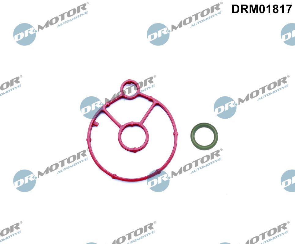 Gasket Set, oil cooler (DRM01817)