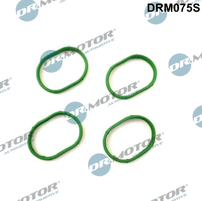 Gasket Set, intake manifold (DRM075S)