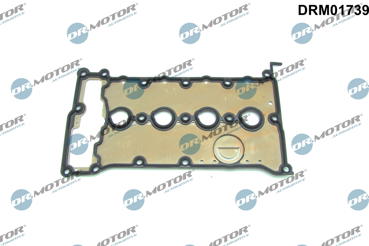 Gasket, cylinder head cover (DRM01739)