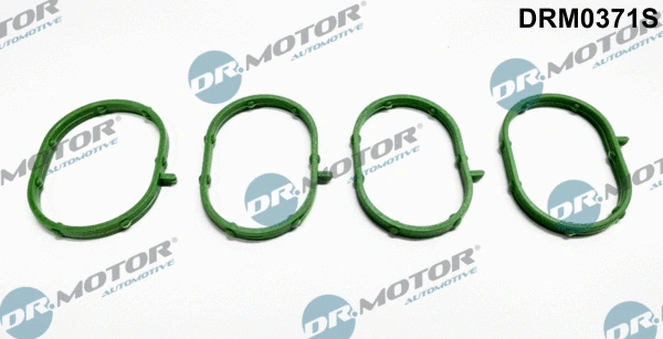 Gasket Set, intake manifold (DRM0371S)