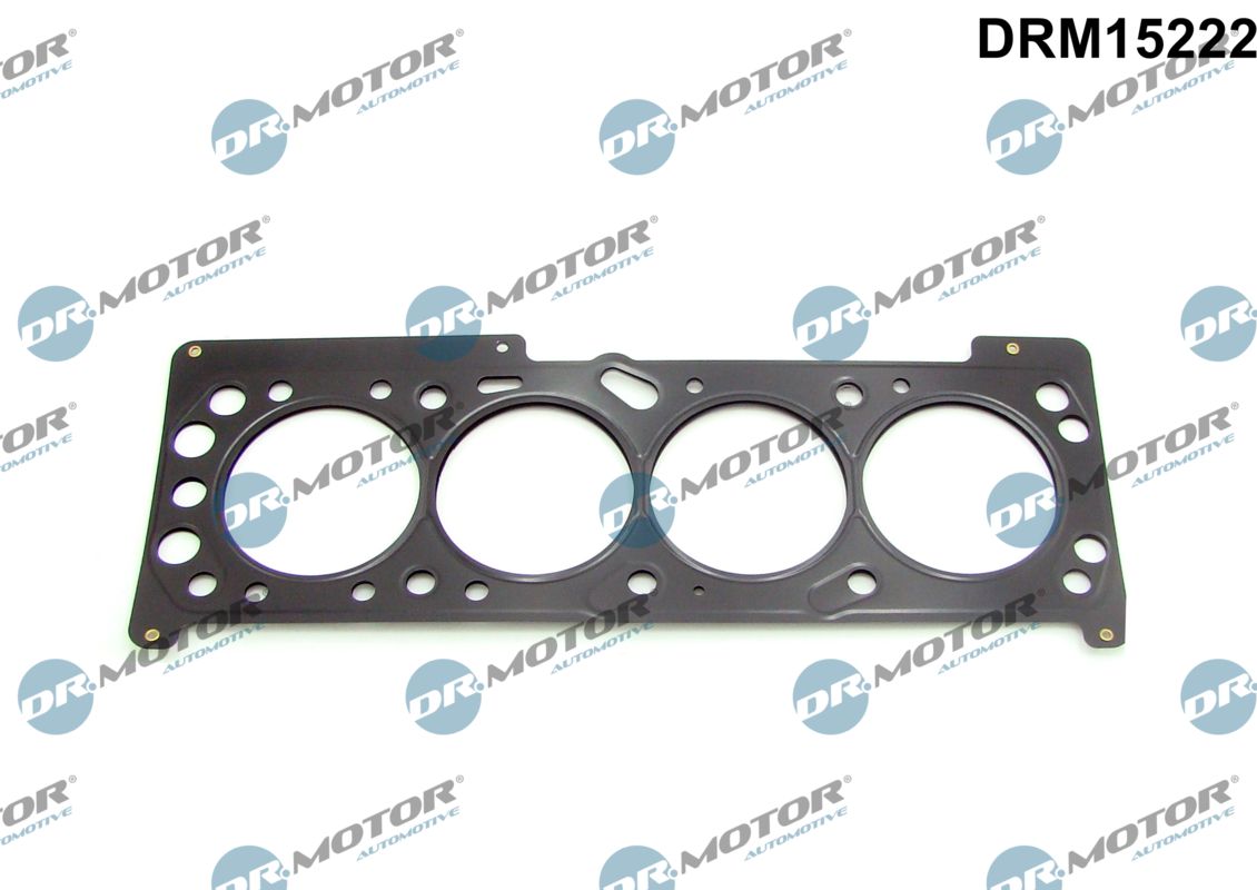 Gasket, cylinder head (DRM15222)