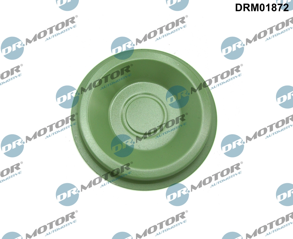 Flange Lid, manual transmission (DRM01872)