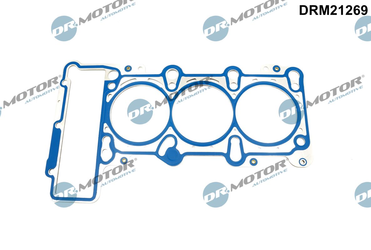 Gasket, cylinder head (DRM21269)