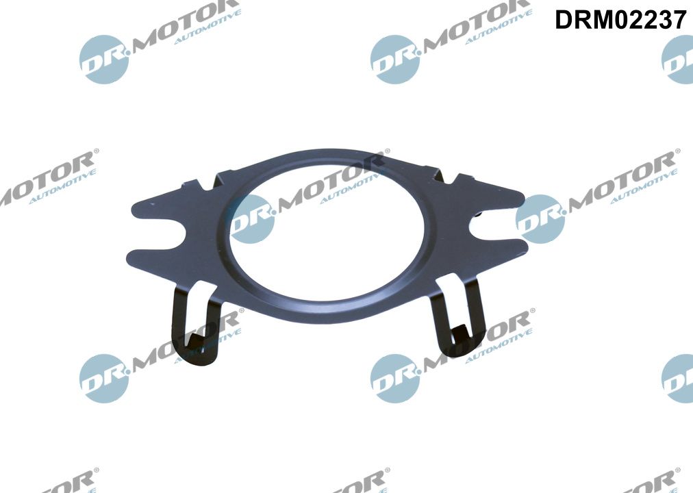 Gasket, EGR valve pipe (DRM02237)