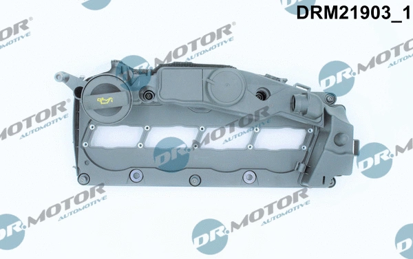 Cylinder Head Cover (DRM21903)