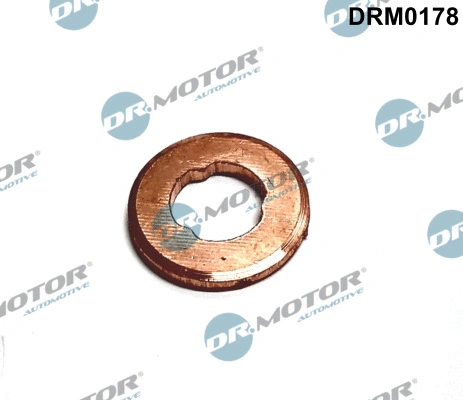 Seal Ring, injector (DRM0178)