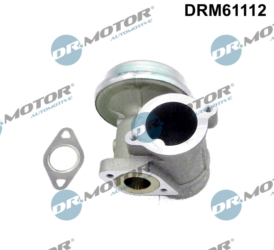 EGR Valve (DRM61112)