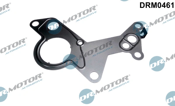 Gasket, vacuum pump (DRM0461)