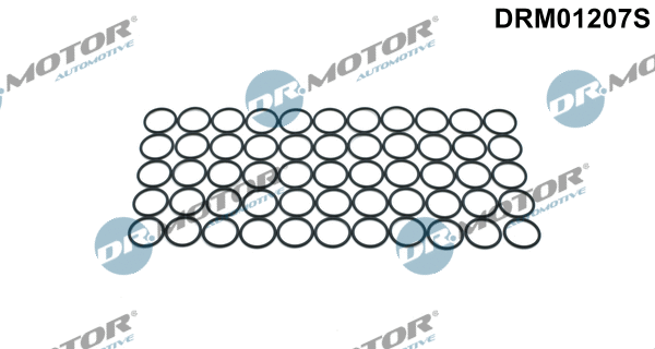 Seal Ring, nozzle holder (DRM01207S)