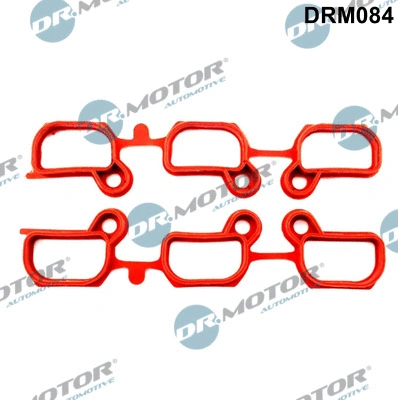 Gasket Set, intake manifold (DRM084)