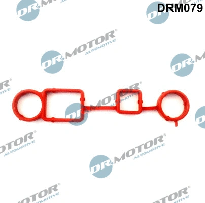 Gasket, crankcase ventilation (DRM079)