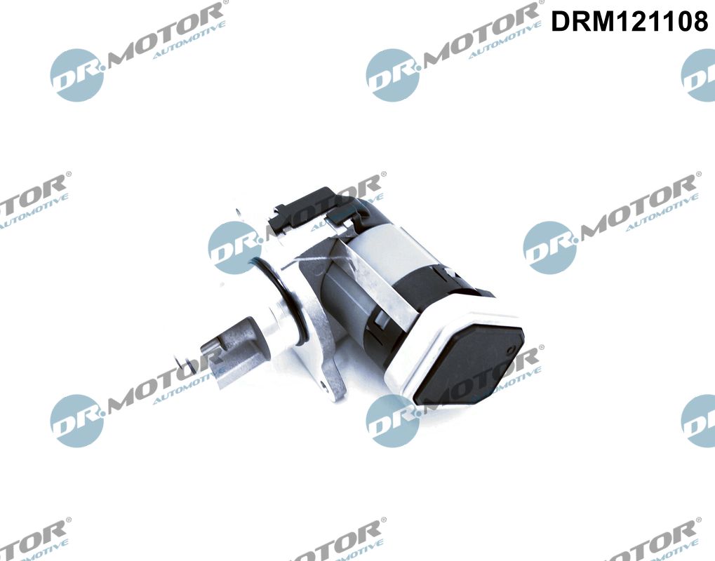 EGR Valve (DRM121108)
