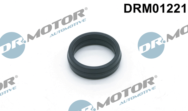 Gasket, oil filter housing (DRM01221)