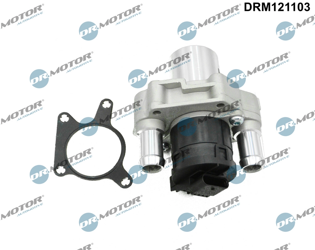 EGR Valve (DRM121103)