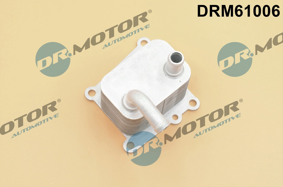 Oil Cooler, engine oil (DRM61006)