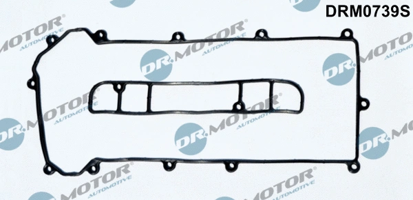 Gasket, cylinder head cover (DRM0739S)