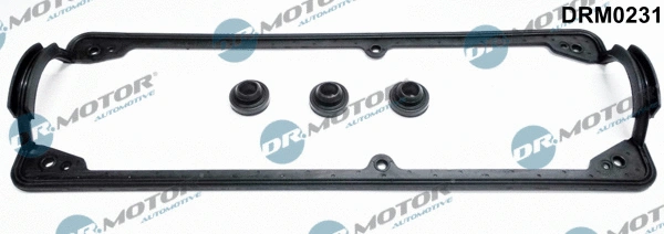 Gasket Set, cylinder head cover (DRM0231)