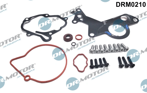 Repair Set, vacuum pump (braking system) (DRM0210)