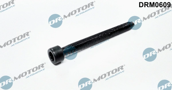 Screw, injection nozzle holder (DRM0609)