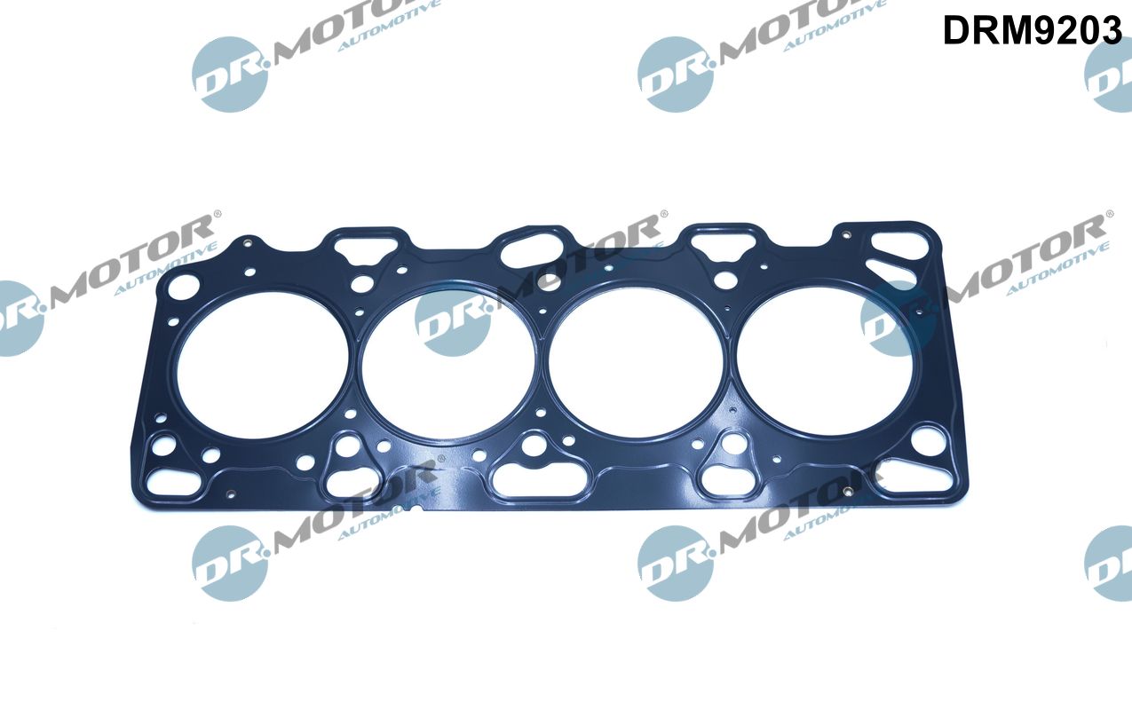 Gasket, cylinder head (DRM9203)