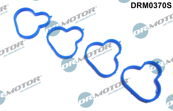 Gasket Set, intake manifold (DRM0370S)
