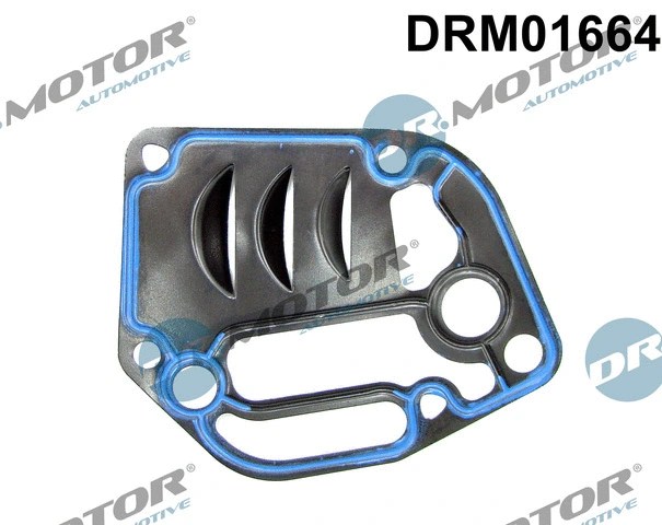 Gasket, oil filter housing (DRM01664)