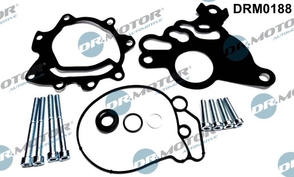 Repair Set, vacuum pump (braking system) (DRM0188)