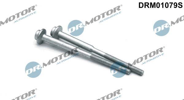 Screw, injection nozzle holder (DRM01079S)