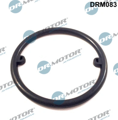 Gasket, oil cooler (DRM083)