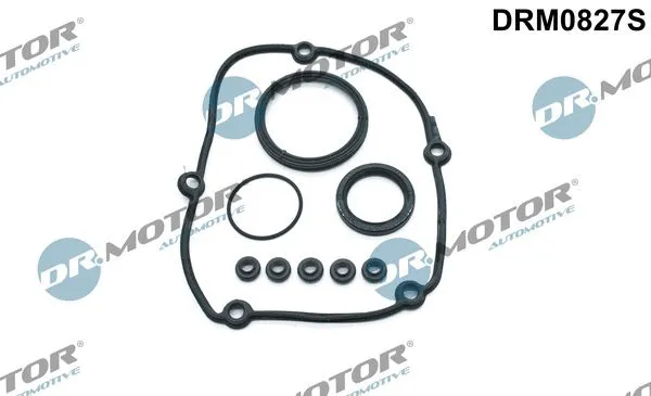 Gasket Kit, timing case (DRM0827S)