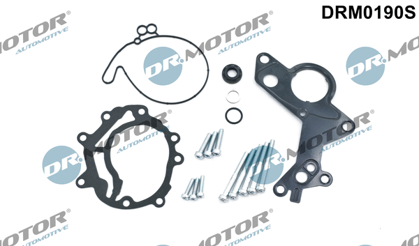 Repair Set, vacuum pump (braking system) (DRM0190S)