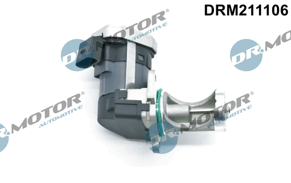 EGR Valve (DRM211106)
