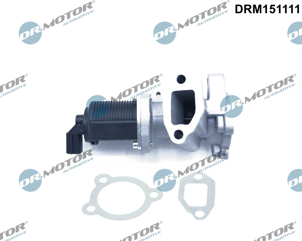 EGR Valve (DRM151111)