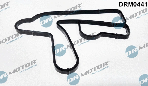 Gasket, oil cooler (DRM0441)