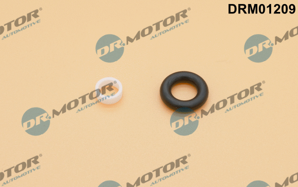 Seal Kit, injector nozzle (DRM01209)