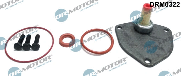 Repair Set, vacuum pump (braking system) (DRM0322)