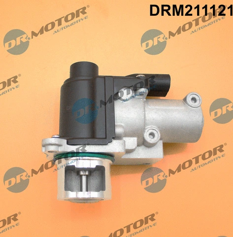EGR Valve (DRM211121)