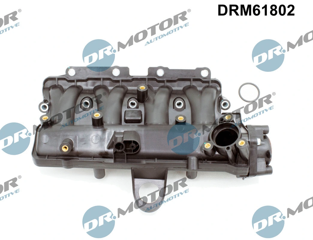 Intake Manifold Module
