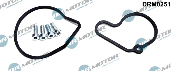 Repair Set, vacuum pump (braking system) (DRM0251)