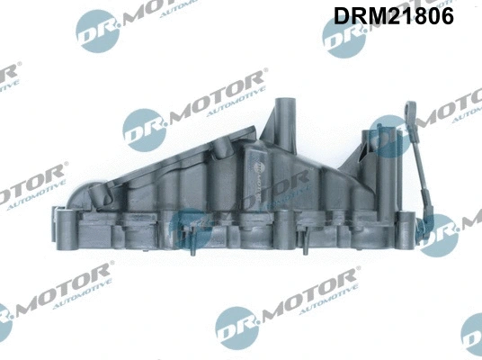 Intake Manifold Module (DRM21806)