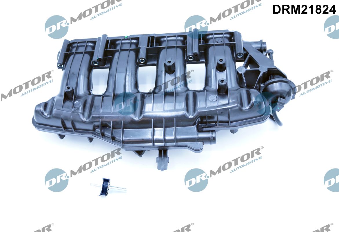 Intake Manifold Module (DRM21824)
