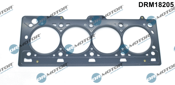 Gasket, cylinder head (DRM18205)